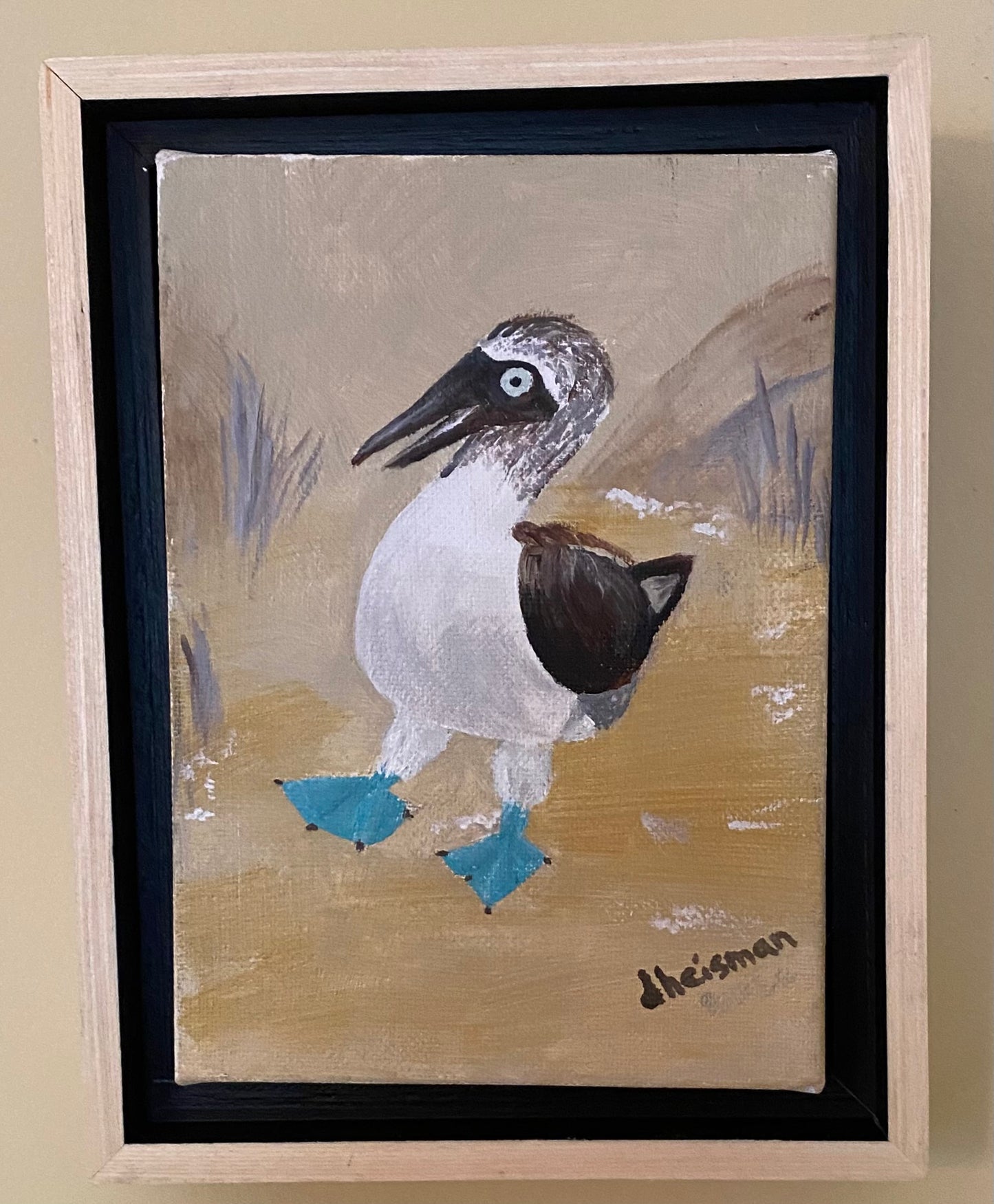 Blue Footed Booby #3